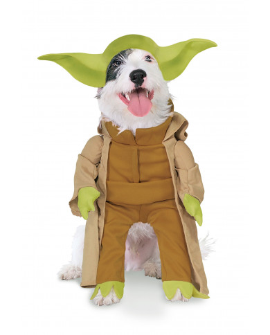 Déguisement Yoda pour chien